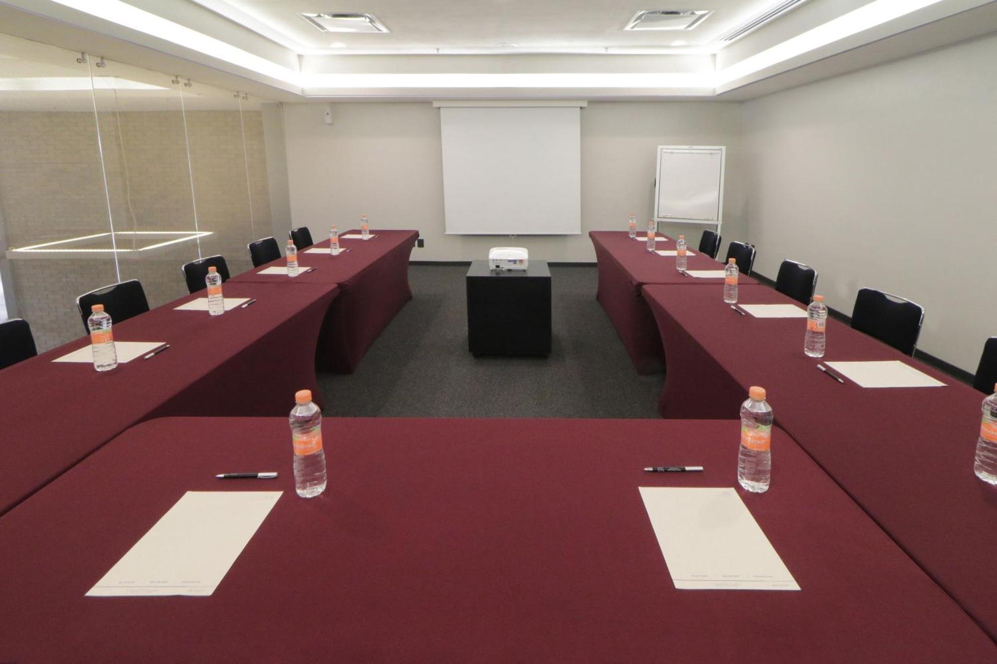 Nuevo Sur 4* Monterrey